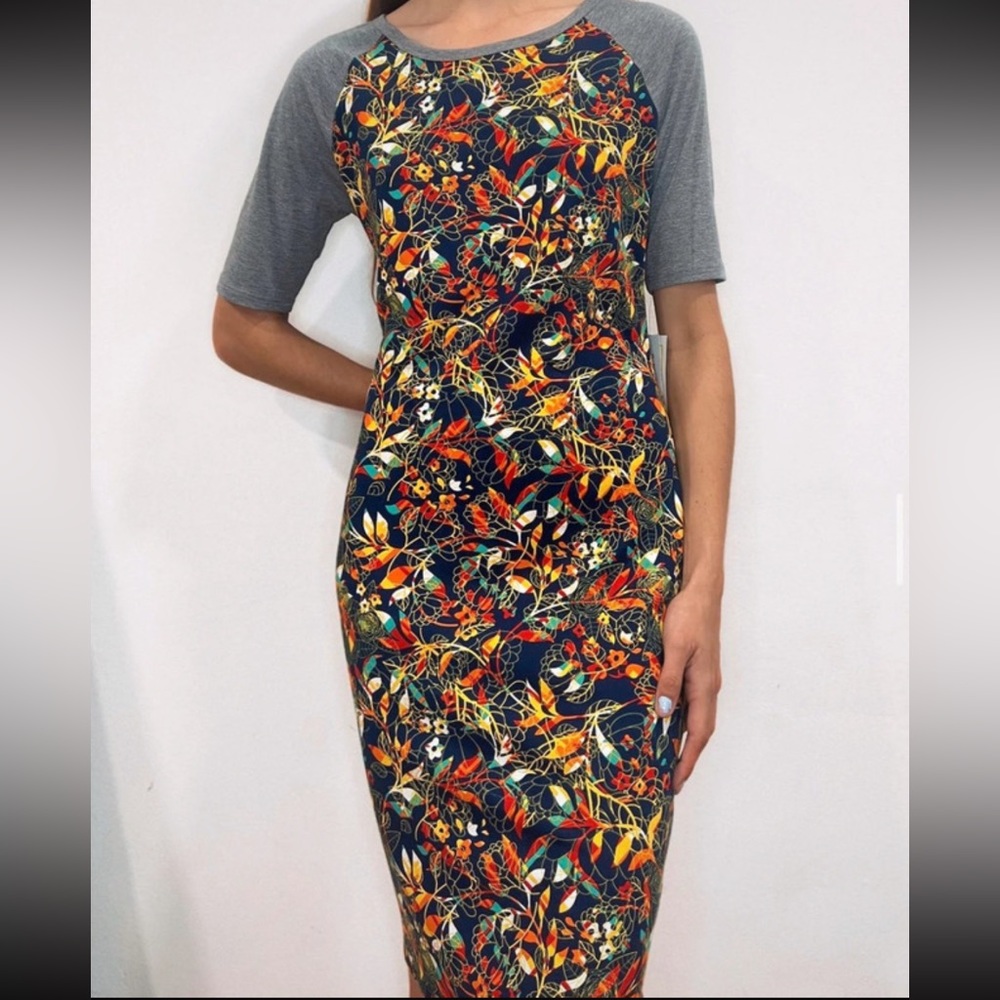 NWT LulaRoe “Julia” dress